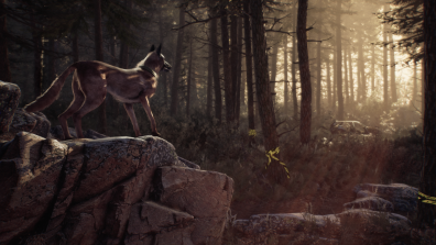 Blair Witch Screenshot #8